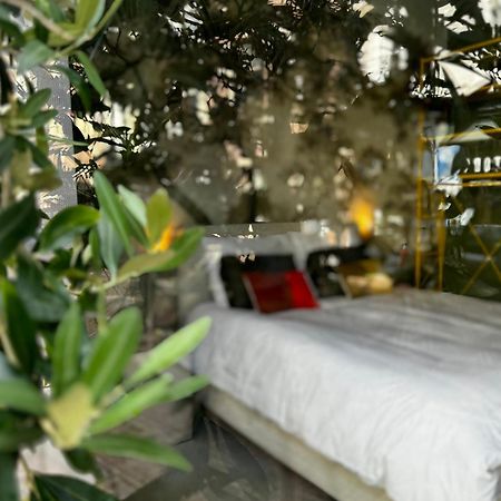 Daen'S Greenhouse Utrecht Esterno foto